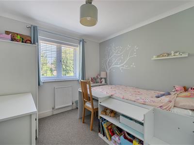 Picture 29